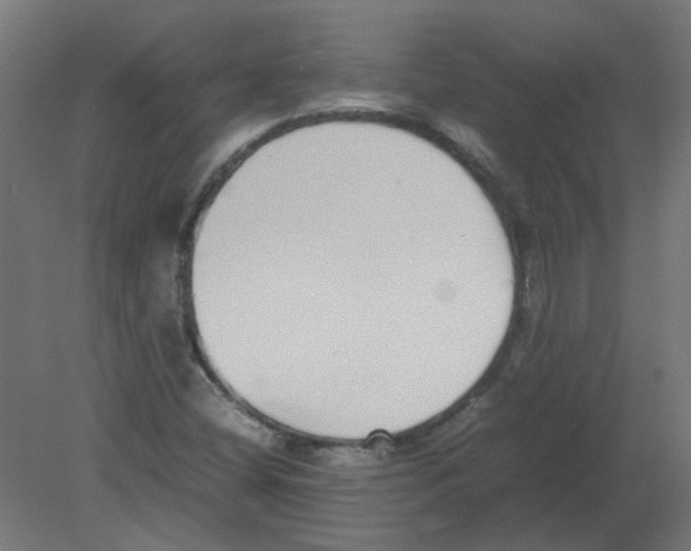 X0000080781404200701122109
