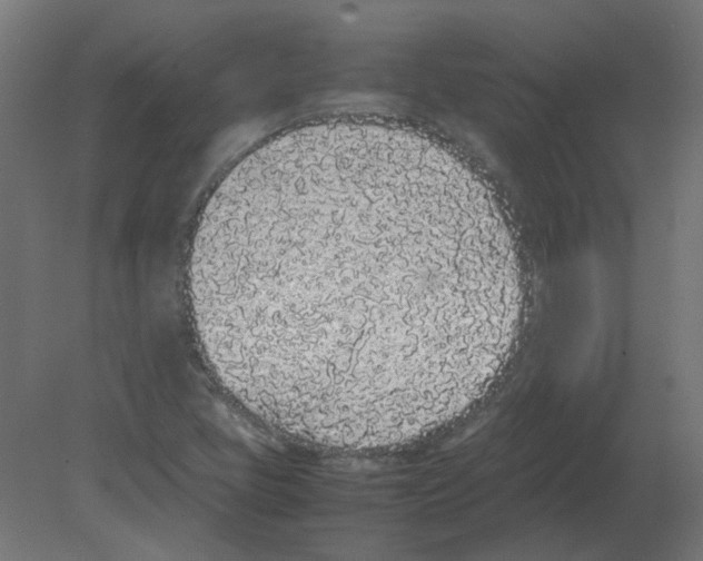X0000080781405200701122109