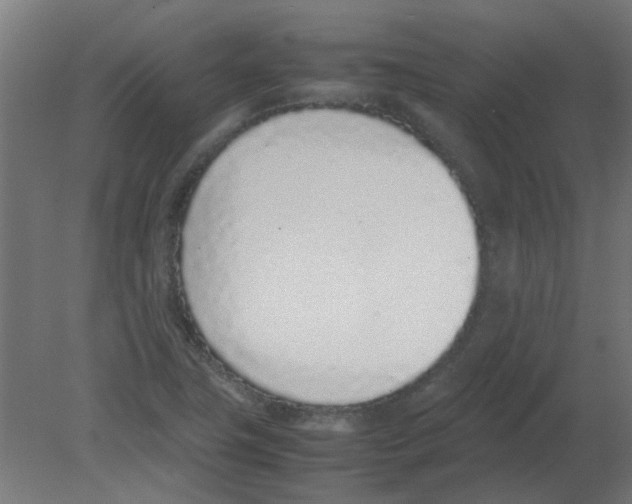 X0000080781411200701122109