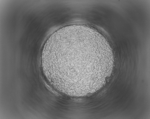 X0000080781413200701122109