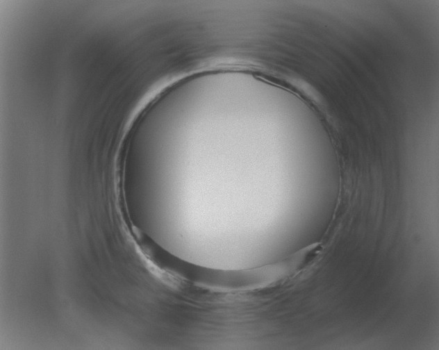 X0000080781430200701122110