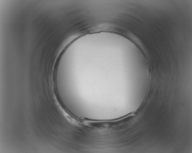 X0000080781434200701122110