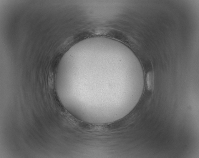 X0000080781443200701122109