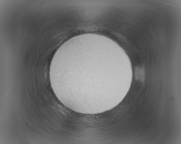 X0000080781444200701122109