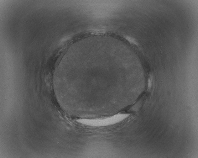 X0000080781445200701122109