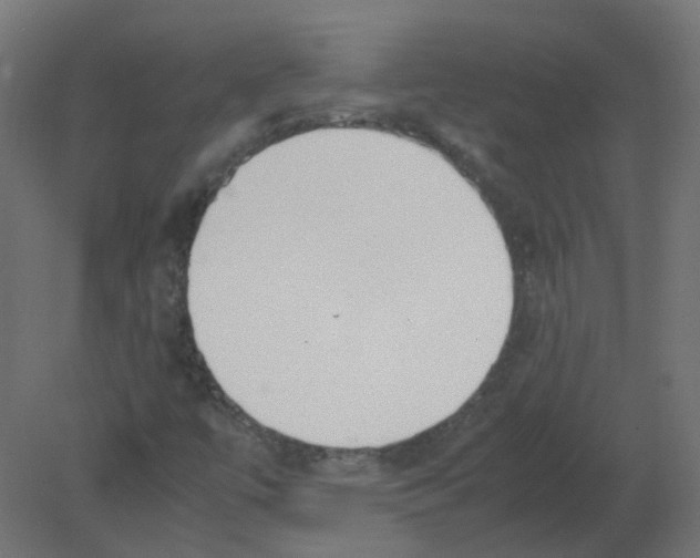 X0000080781447200701122109