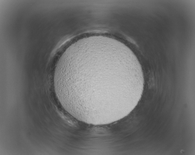 X0000080781448200701122109