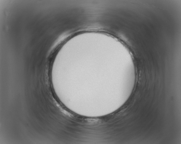 X0000080781456200701122109