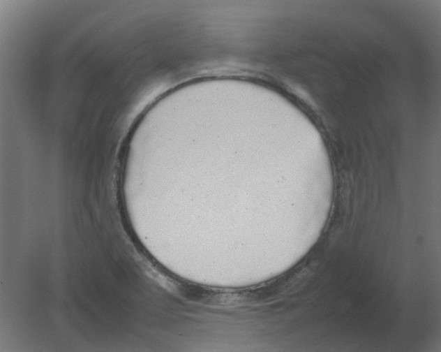 X0000080781463200701122109