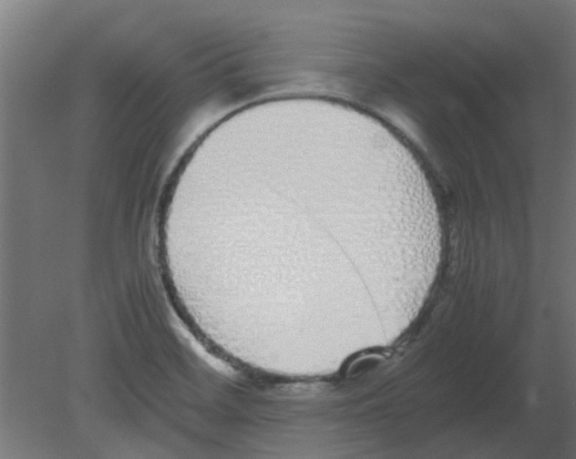 X0000080781468200701122109