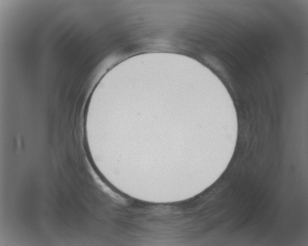 X0000080781479200701122108