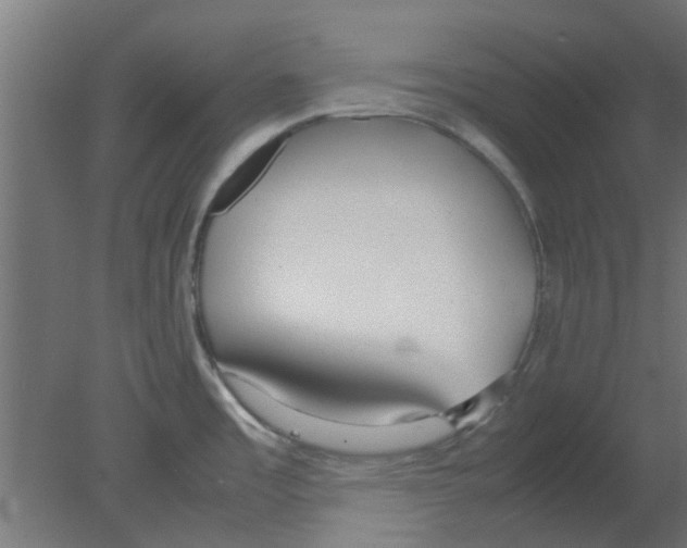 X0000080781485200701122108