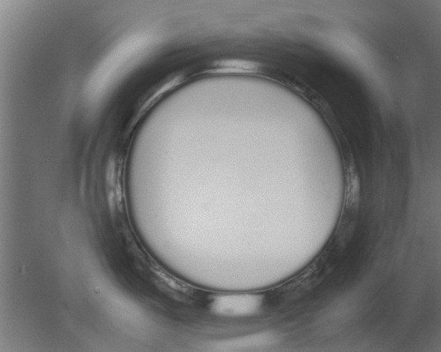 X0000080781487200701122108