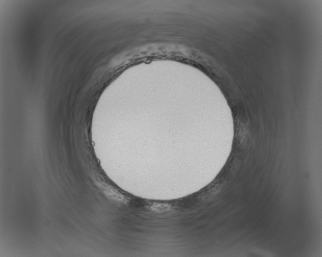 X0000080781489200701122108