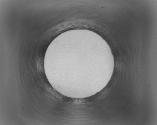 X0000080781490200701122108
