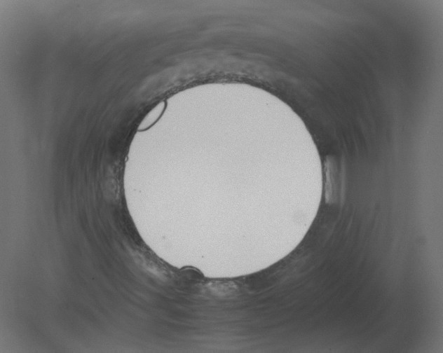 X0000080781491200701122108