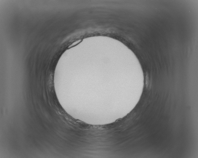 X0000080781492200701122108