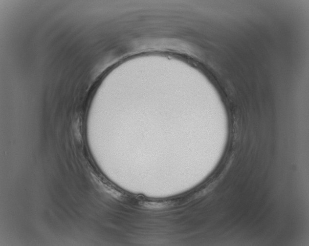 X0000080781497200701122108