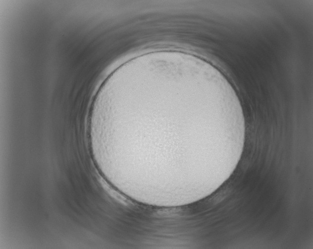 X0000080781535200701122108