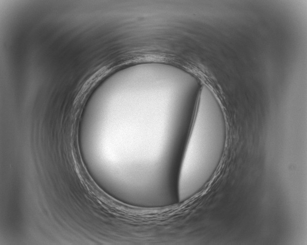 X0000080790001200612151110