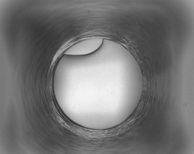 X0000080790004200612151110