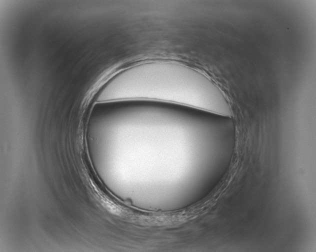 X0000080790005200612151110