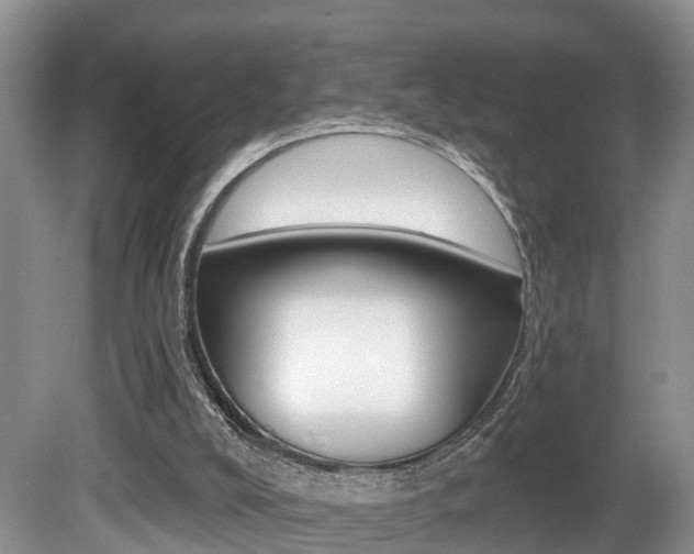 X0000080790008200612151110