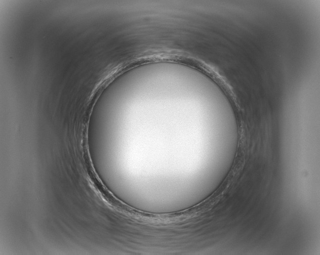 X0000080790010200612151110