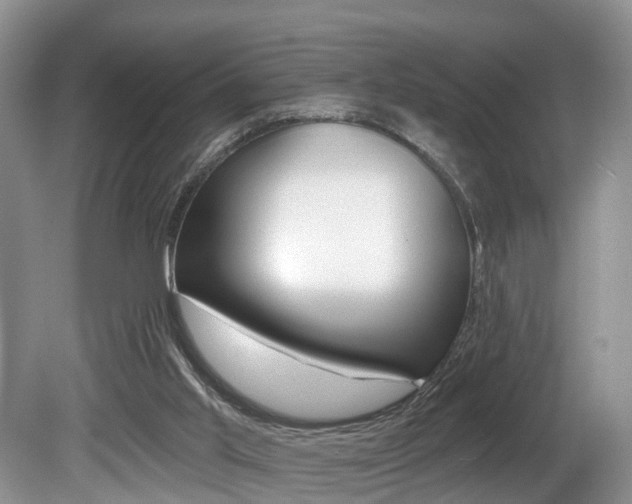 X0000080790013200612151110