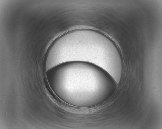 X0000080790015200612151110