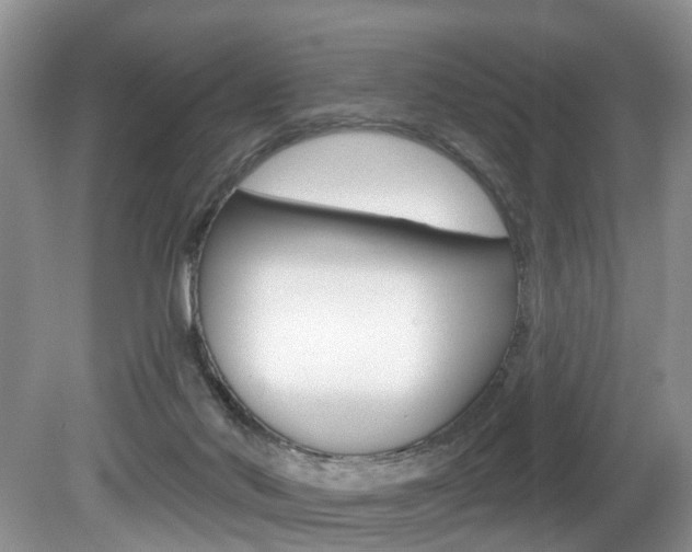X0000080790022200612151109