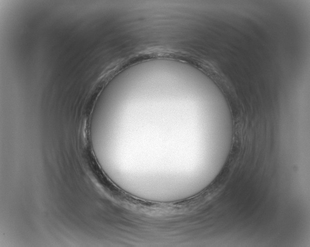 X0000080790024200612151109