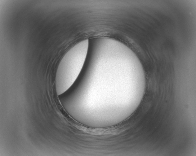X0000080790026200612151109
