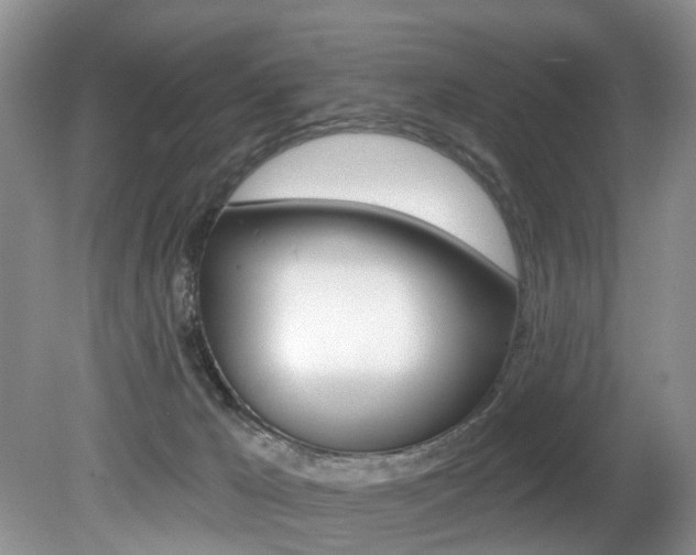 X0000080790029200612151109