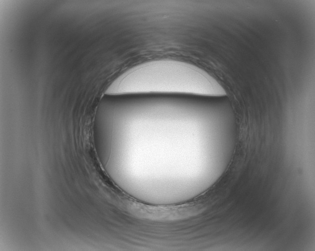 X0000080790030200612151109