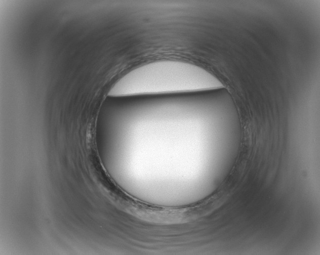 X0000080790032200612151109