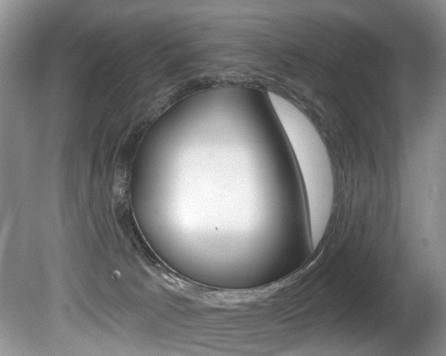 X0000080790033200612151109