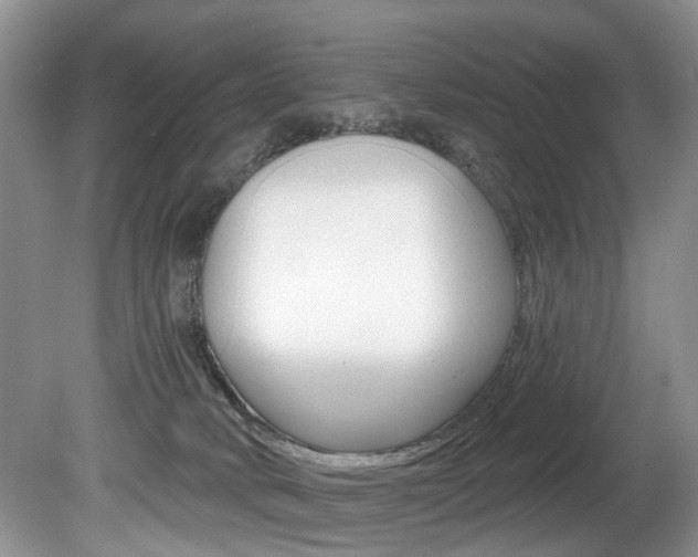 X0000080790034200612151109