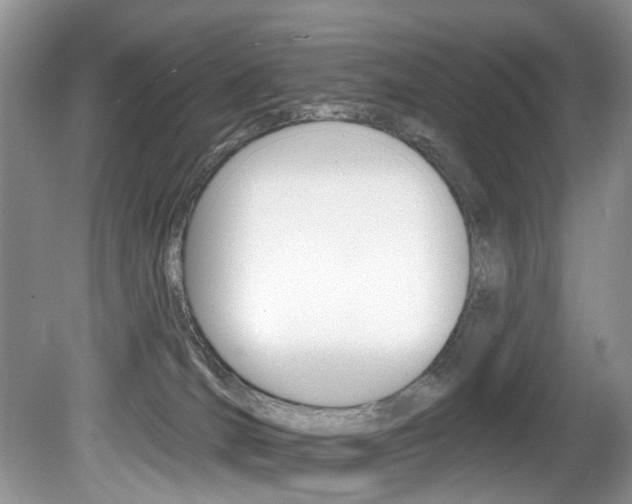 X0000080790036200612151109