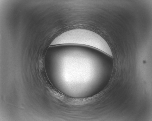X0000080790037200612151109