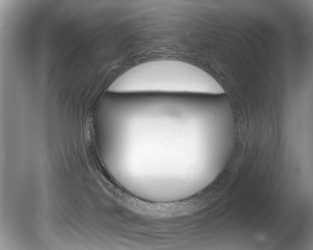 X0000080790038200612151109