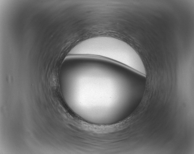 X0000080790039200612151109