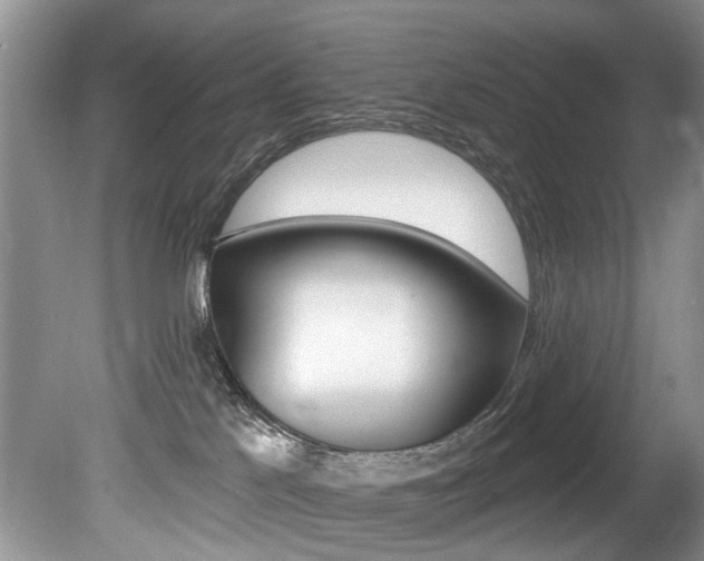 X0000080790041200612151109