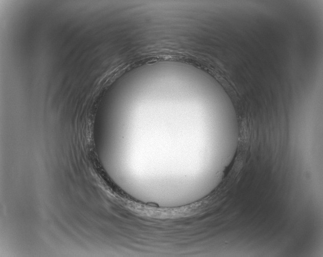 X0000080790043200612151109