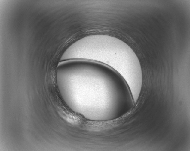 X0000080790045200612151109