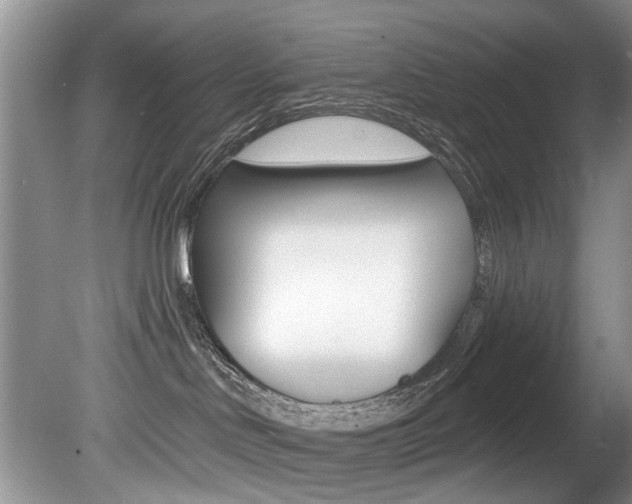 X0000080790046200612151109