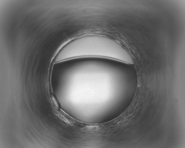 X0000080790052200612151108