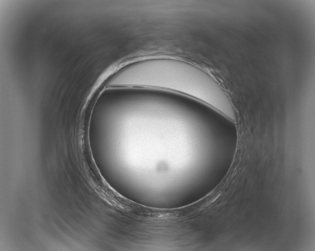 X0000080790056200612151108
