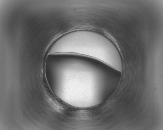 X0000080790059200612151108