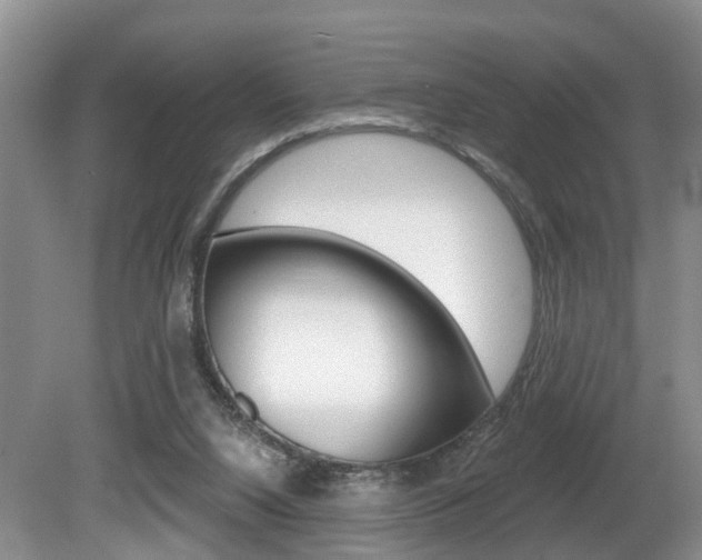 X0000080790064200612151108